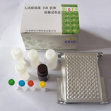 Human Rubella Virus IGM Antibody Detection Kit